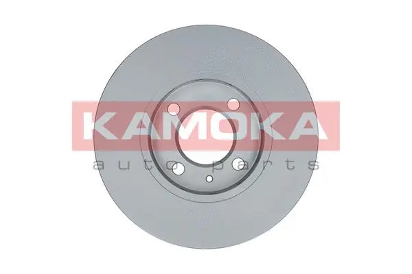 103241 KAMOKA Тормозной диск (фото 2)