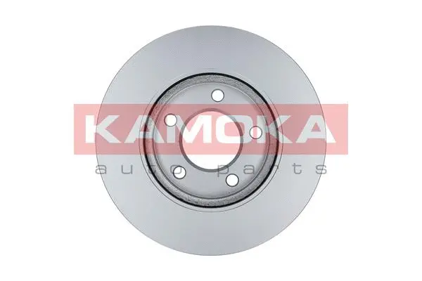 103270 KAMOKA Тормозной диск (фото 2)