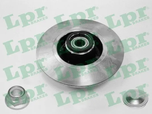 R1005PCA LPR/AP/RAL Тормозной диск (фото 1)