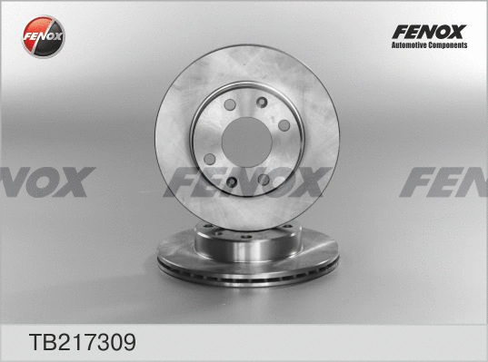 TB217309 FENOX Тормозной диск (фото 1)