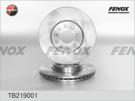 TB219001 FENOX Тормозной диск (фото 1)