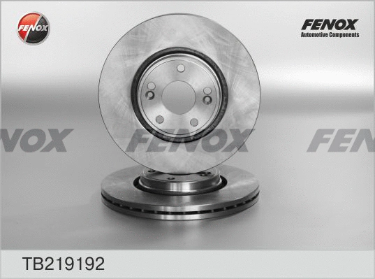 TB219192 FENOX Тормозной диск (фото 1)