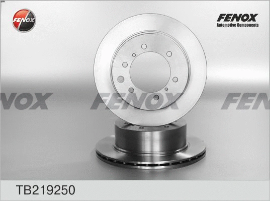 TB219250 FENOX Тормозной диск (фото 1)