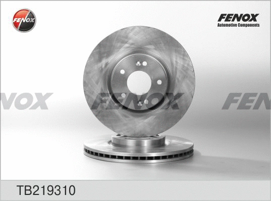 TB219310 FENOX Тормозной диск (фото 1)