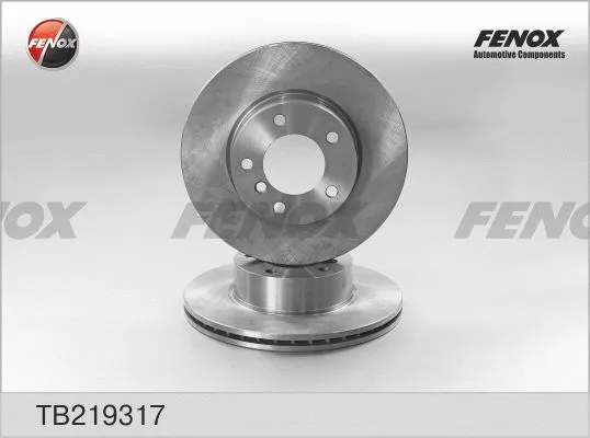 TB219317 FENOX Тормозной диск (фото 1)