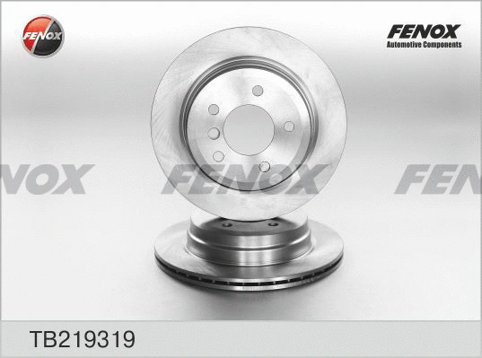 TB219319 FENOX Тормозной диск (фото 1)