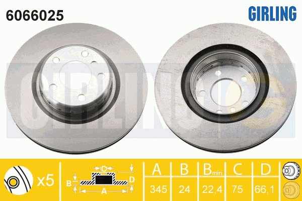 6066025 GIRLING Тормозной диск (фото 1)