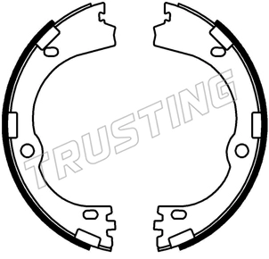 253.752 TRUSTING Комплект тормозных колодок, стояночная тормозная система (фото 1)