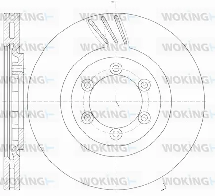 D61000.10 WOKING Тормозной диск (фото 1)