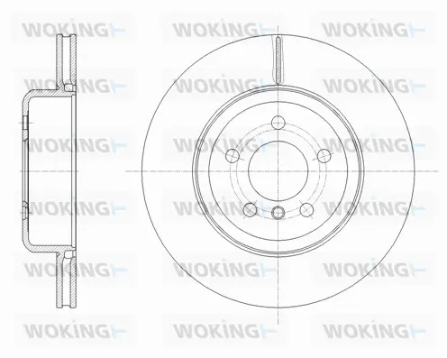D61652.10 WOKING Тормозной диск (фото 1)