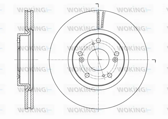 D61653.10 WOKING Тормозной диск (фото 1)