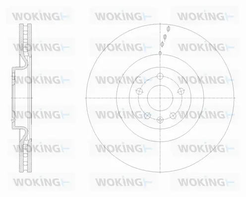 D62113.10 WOKING Тормозной диск (фото 1)