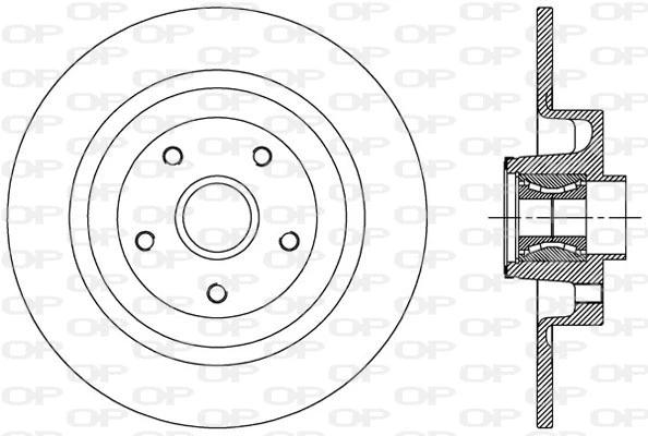 BDA2507.30 OPEN PARTS Тормозной диск (фото 1)