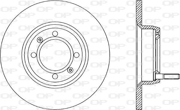 BDR1011.10 OPEN PARTS Тормозной диск (фото 1)