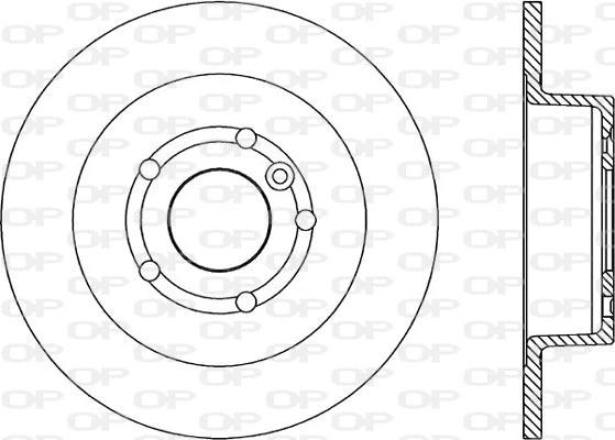 BDR1750.10 OPEN PARTS Тормозной диск (фото 1)