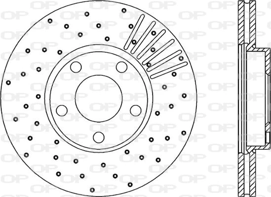 BDRS1732.25 OPEN PARTS Тормозной диск (фото 1)