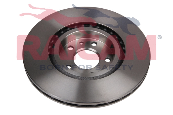 RD00013 RAICAM Тормозной диск (фото 3)