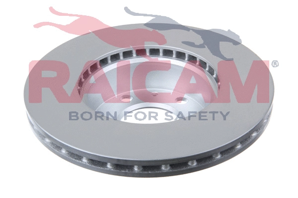 RD00123 RAICAM Тормозной диск (фото 3)
