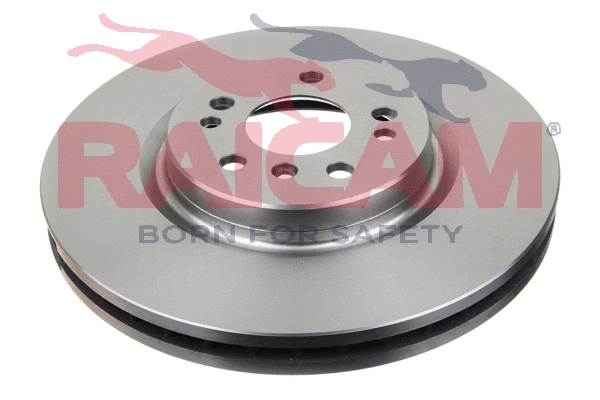 RD00500 RAICAM Тормозной диск (фото 2)