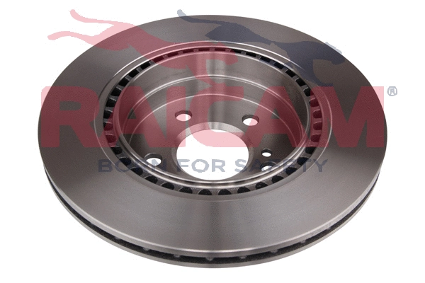 RD01078 RAICAM Тормозной диск (фото 1)
