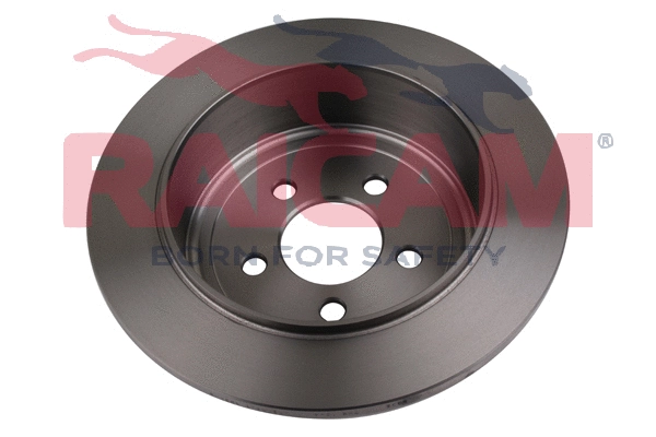 RD01365 RAICAM Тормозной диск (фото 3)