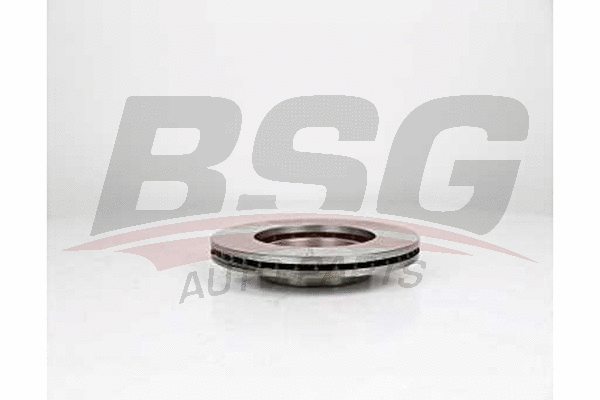 BSG 25-210-001 BSG Тормозной диск (фото 1)
