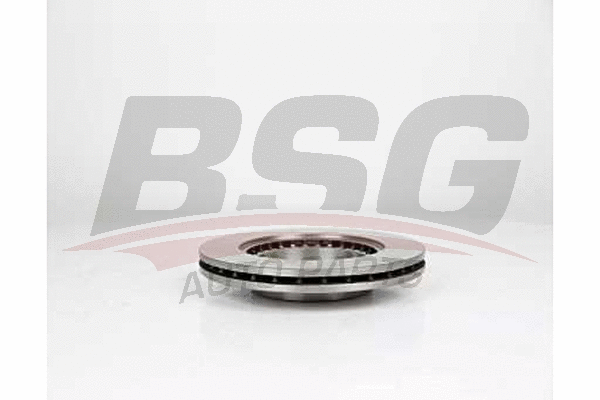 BSG 75-210-003 BSG Тормозной диск (фото 1)