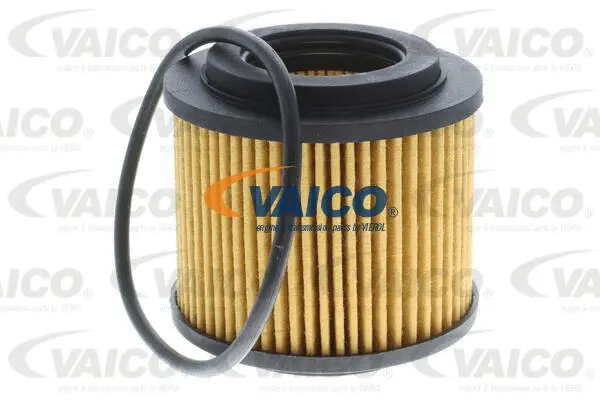 V10-10008 VAICO Комплект цели привода распредвала (фото 3)