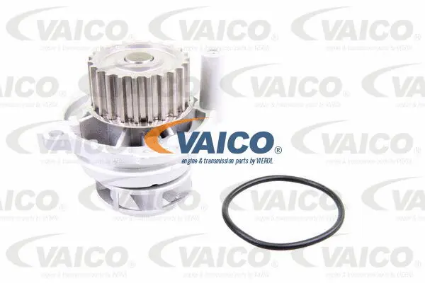 V10-50106 VAICO Водяной насос + комплект зубчатого ремня (фото 2)