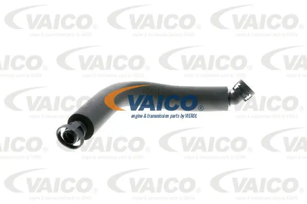 V20-0008 VAICO Ремонтный набор, вентиляция картера (фото 9)