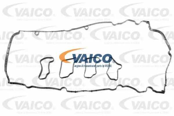 V30-10016 VAICO Комплект цели привода распредвала (фото 11)