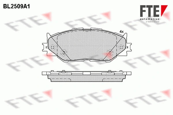 BL2509A1 FTE Комплект тормозных колодок, дисковый тормоз (фото 1)