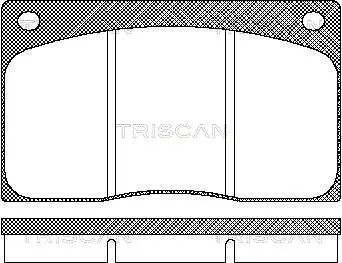 8110 10799 TRISCAN Комплект тормозных колодок, дисковый тормоз (фото 1)