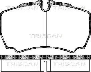8110 15029 TRISCAN Комплект тормозных колодок, дисковый тормоз (фото 1)