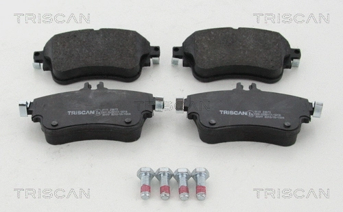 8110 23073 TRISCAN Комплект тормозных колодок, дисковый тормоз (фото 1)