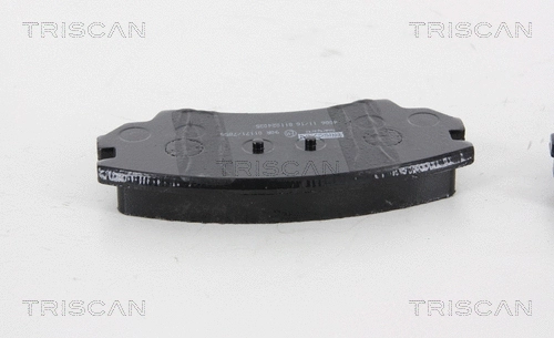 8110 24035 TRISCAN Комплект тормозных колодок, дисковый тормоз (фото 2)