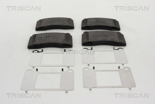 8110 29072 TRISCAN Комплект тормозных колодок, дисковый тормоз (фото 1)