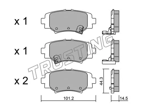 1009.0 TRUSTING Комплект тормозных колодок, дисковый тормоз (фото 1)