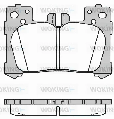P16913.00 WOKING Комплект тормозных колодок, дисковый тормоз (фото 1)