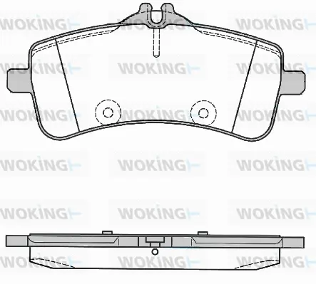 P16943.00 WOKING Комплект тормозных колодок, дисковый тормоз (фото 1)