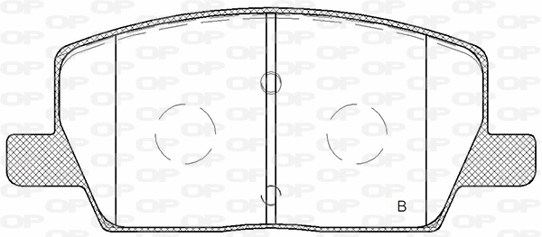 BPA1670.02 OPEN PARTS Комплект тормозных колодок, дисковый тормоз (фото 2)