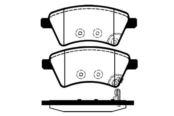 RA.0846.0 RAICAM Комплект тормозных колодок, дисковый тормоз (фото 1)
