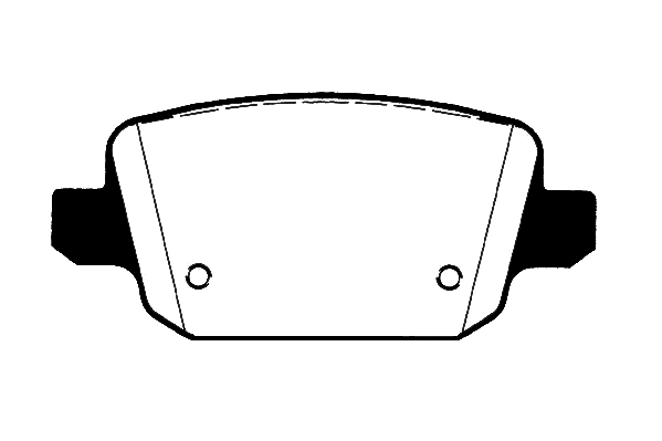 RA.0895.0 RAICAM Комплект тормозных колодок, дисковый тормоз (фото 1)