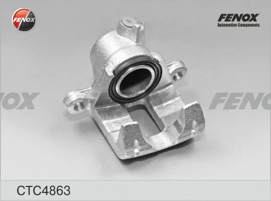 CTC4863 FENOX Комплект корпуса скобы тормоза (фото 1)