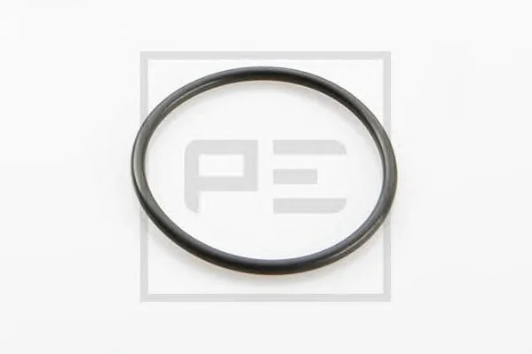 011.319-00A PE AUTOMOTIVE Уплотнительное кольцо (фото 1)