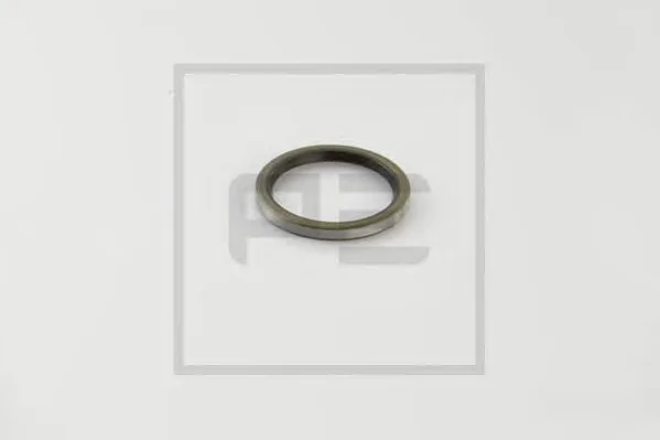 031.138-00A PE AUTOMOTIVE Уплотнительное кольцо (фото 1)