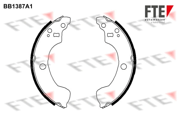 BB1387A1 FTE Комплект тормозных колодок (фото 1)