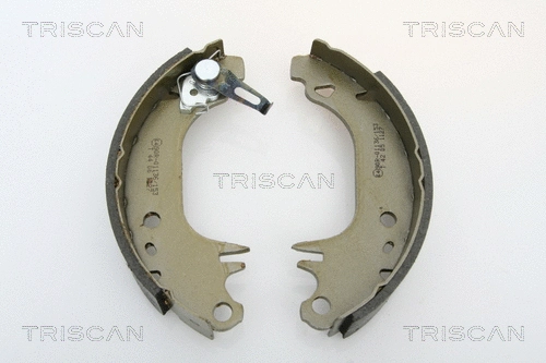 8100 10006 TRISCAN Комплект тормозных колодок (фото 1)