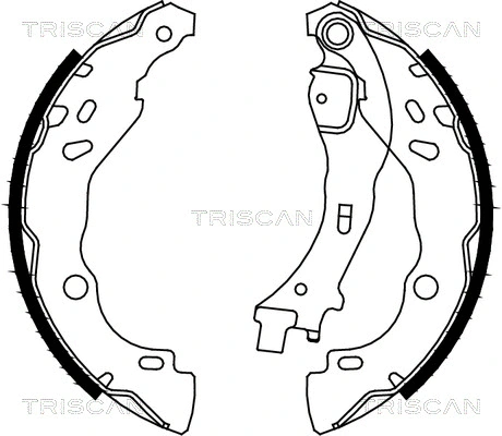 8100 10009 TRISCAN Комплект тормозных колодок (фото 1)