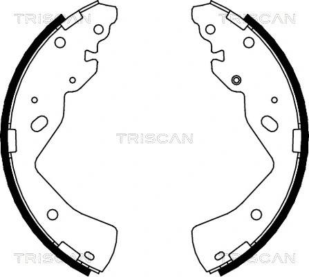 8100 10018 TRISCAN Комплект тормозных колодок (фото 1)